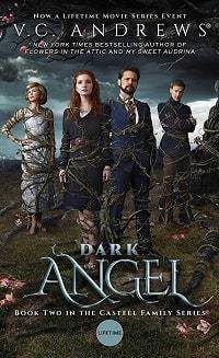 Тёмный ангел (2019)